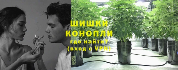 шишки Нефтекумск
