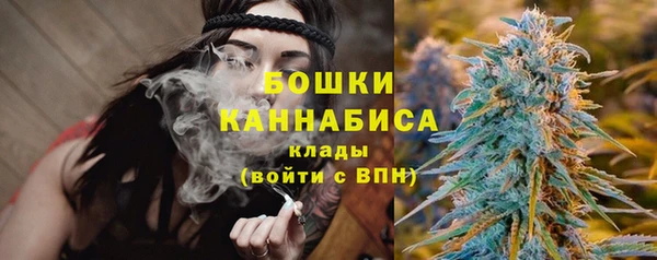 PSILOCYBIN Надым