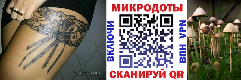 Галлюциногенные грибы GOLDEN TEACHER  где купить   Олёкминск 